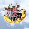 Deers on Banana Paint By Number