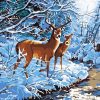 Deers on Winter Paint By Number