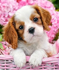 Dog In Flower Basket Paint By Number