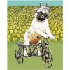 Dog Riding a Tricycle Paint By Number