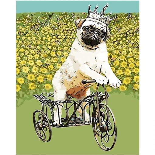 Dog Riding a Tricycle Paint By Number