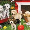 Dogs In Backyard Garden Paint By Number