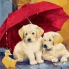 Dogs With Umbrella Paint By Number