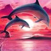 Dolphin at Sunset Paint By Number