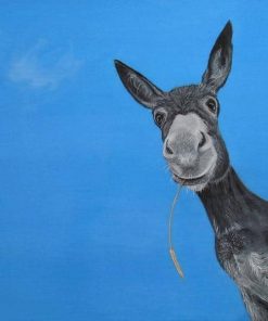 Donkey Portrait Paint By Number