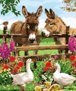 Donkeys in Farm paint by number