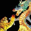 Dragon and Tiger Paint By Number