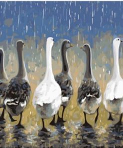 Ducks Under The Rain Paint By Number