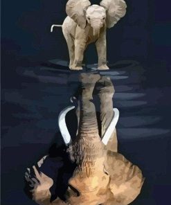 Elephant Reflection Paint By Number