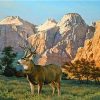 Elk In The Sawtooths Paint By Number