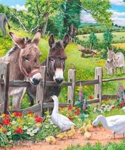 Farm Donkeys Paint By Number