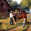 Farm Horse Paint By Number