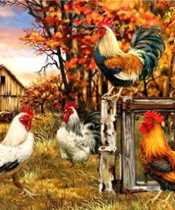 Farm Roosters Paint By Number