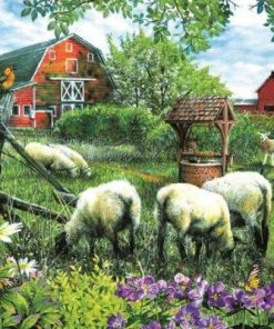 Farm Sheep Paint By Number