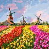 Field and Windmills Paint By Number