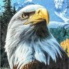 Fierce Eagle Paint By Number