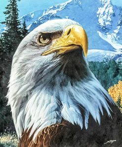 Fierce Eagle Paint By Number