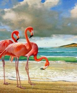 Flamingos At Beach Paint By Number