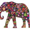 Floral Elephant Paint By Number