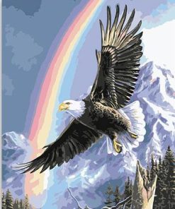 Flying Eagle Under Rainbow Paint By Number