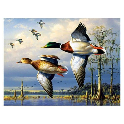 Flying Mallard Ducks Paint By Number