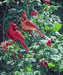 Forest Red Birds Paint By Number