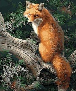 Fox Animal Paint By Number