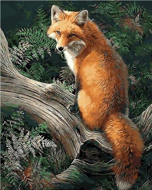 Fox Animal Paint By Number