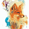 Fox Dream Catcher Paint By Number