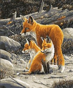 Fox Family Paint By Number