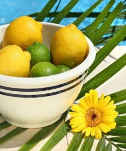 Fresh Lemons Paint By Number