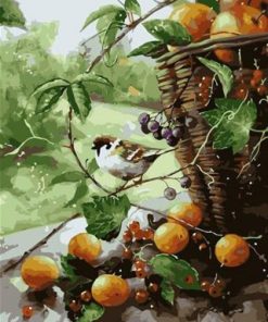 Fruits Basket and Birds Paint By Number