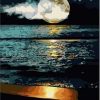 Full Moon Night At The Beach Paint By Number