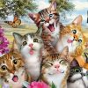 Funny Cats With Butterflies Paint By Number