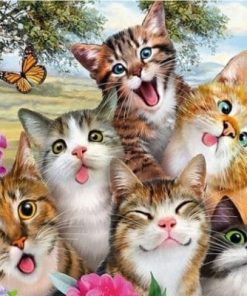 Funny Cats With Butterflies Paint By Number