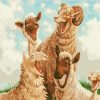 Funny Sheep Paint By Number