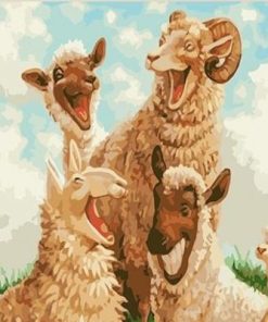 Funny Sheep Paint By Number