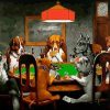 Gambler Dogs Paint By Number