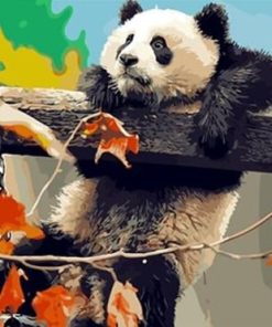 Giant Panda Paint By Number