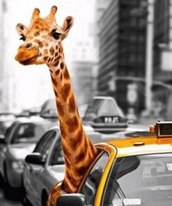 Giraffe In a Taxi Paint By Number