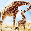 Giraffe Mom and Her Baby Paint By Number