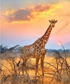 Giraffe With Sunrise Paint By Number