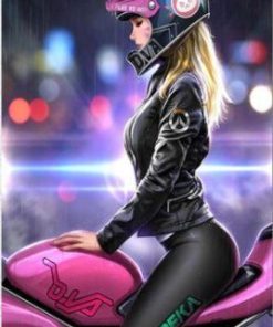 Girl With Motorcycle Paint By Number