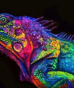 Glowing Chameleon Paint By Number