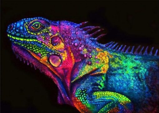 Glowing Chameleon Paint By Number