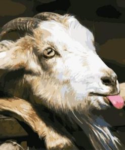 Goat Tongue Paint By Number