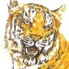 Golden Tiger paint by number