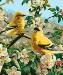 Goldfinch Birds Paint By Number