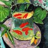 Goldfish In a Bowl Paint By Number