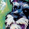 Graffiti Dog Schnauzer Paint By Number